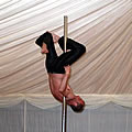 Pole Dancer 23