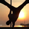 Pole Dancer 28