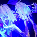 Stilts 37